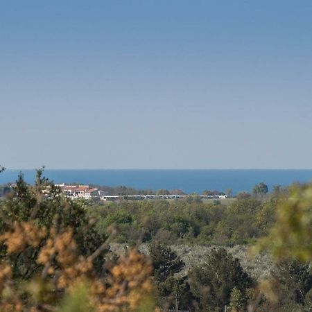 Apartment Bruneta 1 With Sea View Tar-Vabriga Exteriör bild